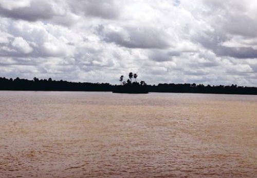 Artista apresenta paisagens e cotidiano da região amazônica